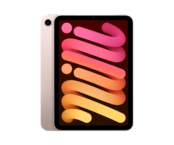 Apple Ipad Mini