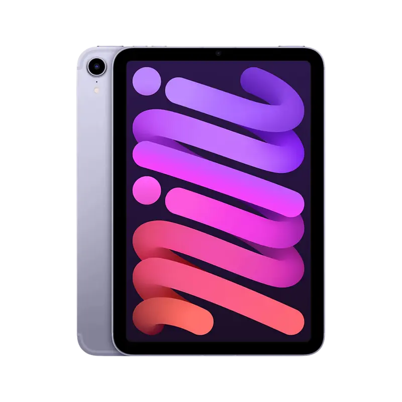 iPad mini